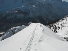 Klik za večjo sliko